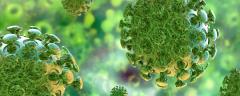 coronavirus-banner-l.jpg