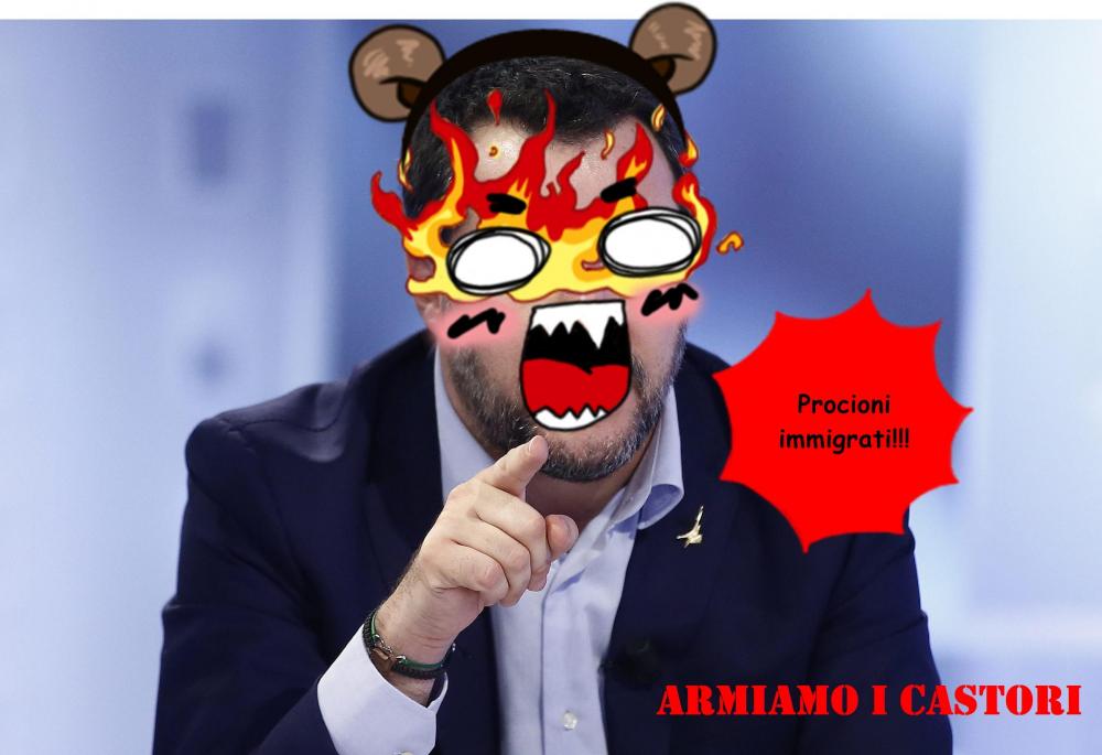 matteo-salvini.thumb.jpg.1bdc7cef16aab168bff76e2c56e35a23.jpg