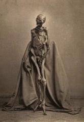 The Rendswühren Man on Display.jpg