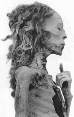 elder lady mummy.gif