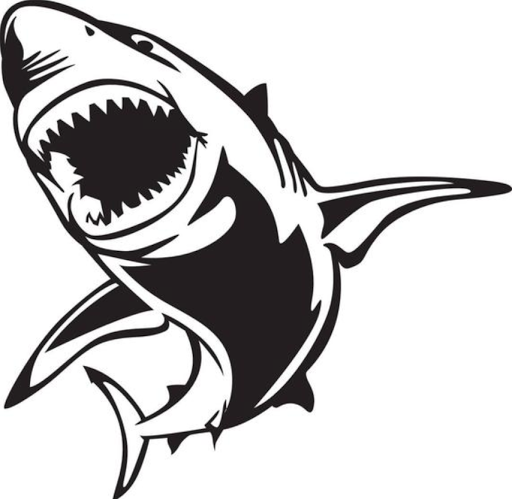 large.image.png.582865bb14d42f4e9deb2dbf9a9be180.png