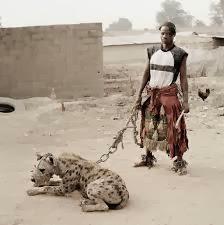 hyena.jpg
