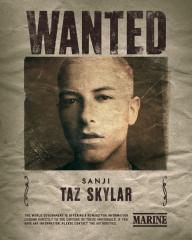 panda_wanted_poster_1_sanji_taz_jpg_960x0_crop_q85.jpg