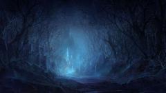tumblr_static_ice_forest_2.jpg