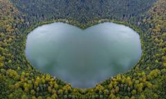 jtevans_world_heartbeat.jpg