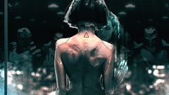 19b1e7e51c09419202f7546056a6b7a8_original.png
