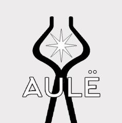 logo AULE prova.jpg