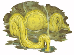 Laraken-Michael-Dubisch-min.png.39de1243ab890592f4e9361540d06702.png