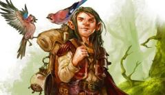 dnd-5e-druid-halfling-and-birds-580x334.jpg