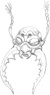 large_27.UmberHulkhead(2013)-MonsterManual.png.e3d078bbb0d2b88272149950d2967b12.png