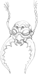 27. Umber Hulk head (2013) - Monster Manual.png