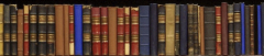Big-Bookshelves.jpg