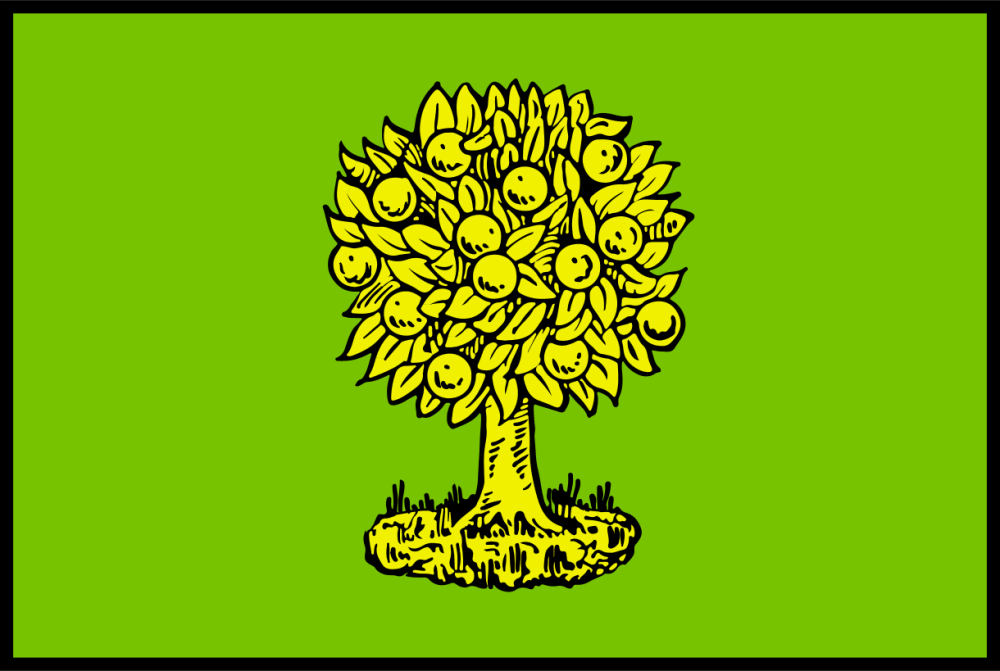 domini-banner.png