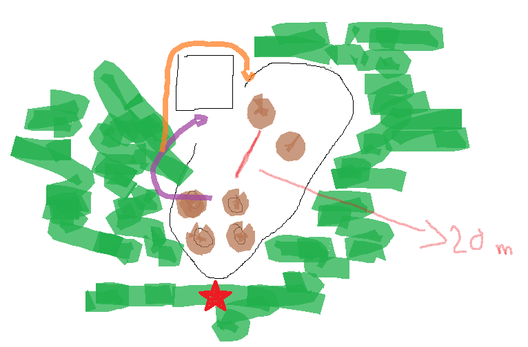 lucertole.png