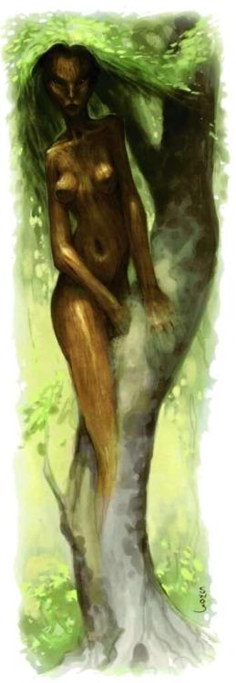 Dryad_3.5-354x1024.jpeg