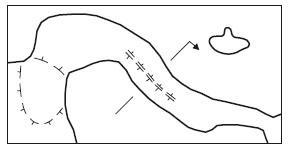 large.20110415d.jpg.678497c8d910f3d211dc