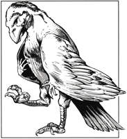 large.Albari.png.9a1aba42516498a1a7e1e80