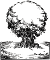 large.AlchemyPlant.png.228878a5545b9a3d8
