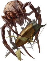 large.AsteroidSpider.png.c5815e7d8ed0012