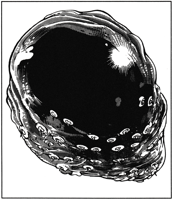 large.Bloodsac.png.f272efaf3eea1dd2c05b6