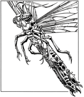 large.Buzzjewel.png.589c59e5772fa58d4b6c