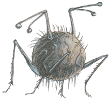 large.Examiner.png.bcb4f687d67165768990f