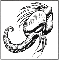 large.FlowBarnacle.png.955cbf869666a7a37