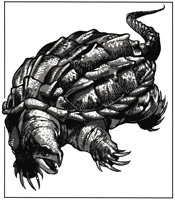 large.Gammaroid.png.63007f62b0fe494420cf