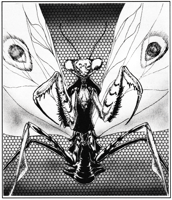 large.GargantuanPrayingMantis.png.da8a46