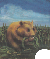 large.GiantSpaceHamster.png.dc80c16432d5