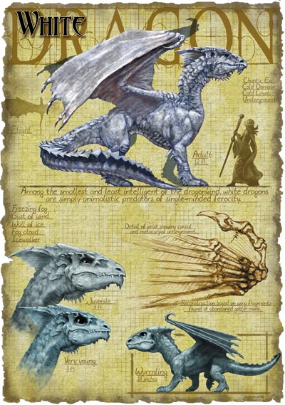 large.White_dragon_anatomy_-_Richard_Sar