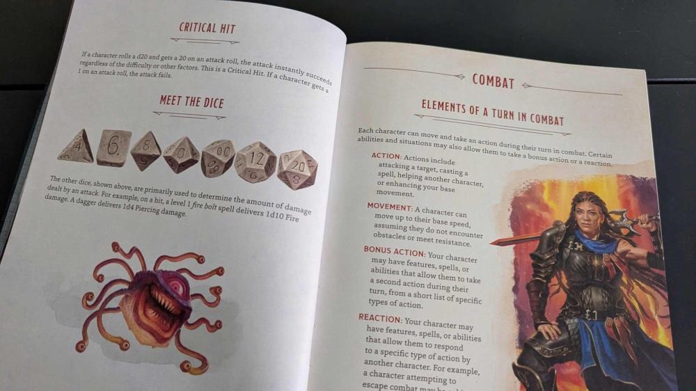 dd-players-workbook03.jpg